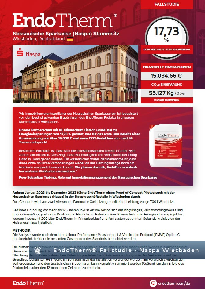EndoTherm® Fallstudie Naspa Wiesbaden – PDF-Ausschnitt
